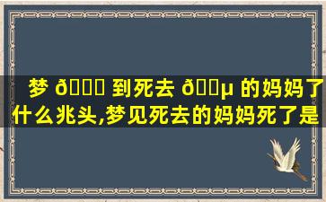 梦 🐒 到死去 🌵 的妈妈了有什么兆头,梦见死去的妈妈死了是什么意思